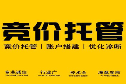 竞价托管sem的胜利果实：某零售商的营销策略